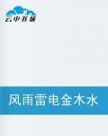 風雨雷電金木水火土