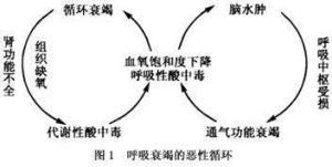 小兒急性呼吸衰竭 小兒急性呼吸衰竭