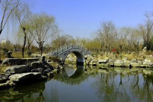 長虹公園 長虹公園