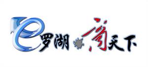“e羅湖&middot;商天下”主題論壇logo