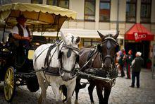 德勒斯登的藝術古典美