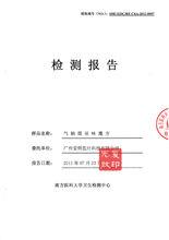 檢測報告