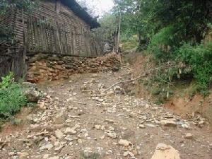 比尼嘎村通村道路