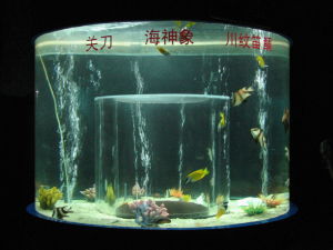 龍門海洋館 龍門海洋館