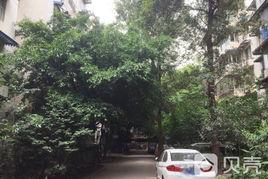 槐樹苑A區 槐樹苑A區