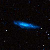 NGC 3003 NGC 3003
