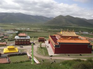 萬象大慈法輪林 萬象大慈法輪林