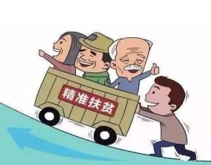 著力解決因殘致貧家庭突出困難的實施方案