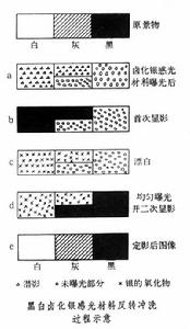 鹵化銀感光材料的沖洗 鹵化銀感光材料的沖洗