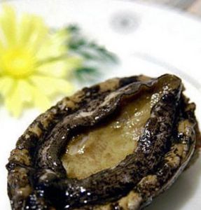 鹵蚝油鮮鮑魚 鹵蚝油鮮鮑魚