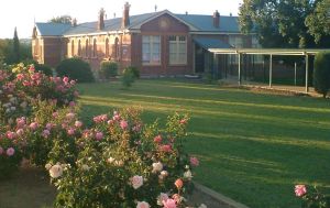 新南威爾斯政府中學