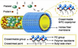 表面改性技術 表面改性技術