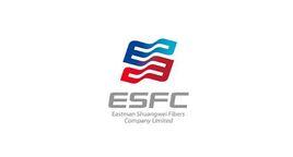 雙維伊士曼纖維有限公司 雙維伊士曼纖維有限公司