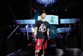 謝彬[中國綜合格鬥運動員]