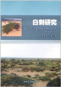 白刺研究 白刺研究