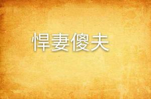 悍妻傻夫 悍妻傻夫