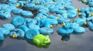 橡皮鴨比賽 橡皮鴨比賽