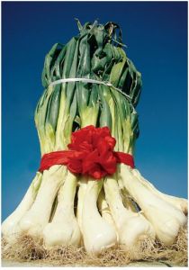 巴公大蔥 巴公大蔥