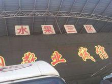 馬家灣水果市場