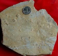 壓扁層理 壓扁層理