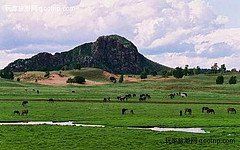 金蓮川草原 金蓮川草原