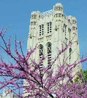 美國芝加哥大學