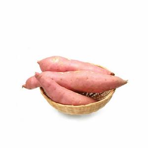 瓦房店閆店地瓜 瓦房店閆店地瓜