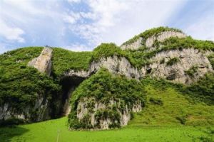 拱攏坪林場 拱攏坪林場