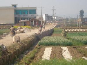 尹家壩村基本農田