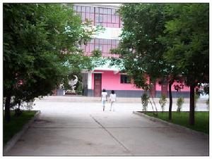 白銀市魏家地礦學校 白銀市魏家地礦學校