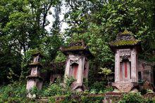 鹿鳴村[四川巴中通江縣瓦室鎮鹿鳴村]