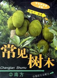 常見樹木-2南方 常見樹木-2南方