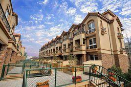 君臨南山 君臨南山