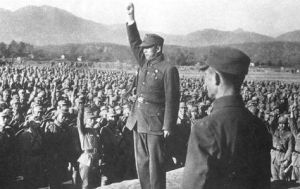 嫡系部隊 嫡系部隊