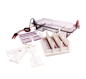 水平電泳儀 水平電泳儀