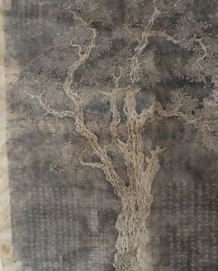 召伯甘棠 召伯甘棠