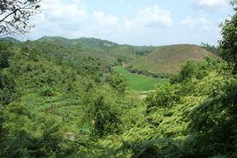 聯合村[廣西玉林市博白縣水鳴鎮聯合村]