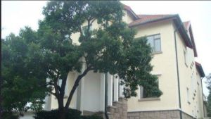 青島釣魚台 青島釣魚台