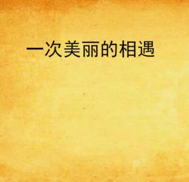 一次美麗的相遇 一次美麗的相遇