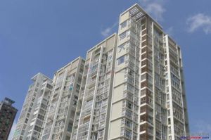 南油南海大廈 南油南海大廈