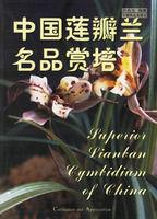 中國蓮瓣蘭名品賞培 中國蓮瓣蘭名品賞培