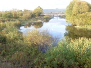 綽源國家森林公園