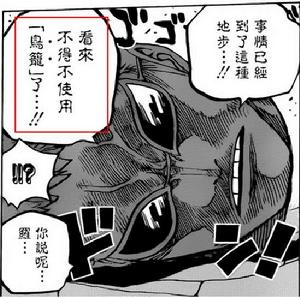 捲心菜計畫 捲心菜計畫