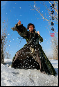 降龍廿八掌 降龍廿八掌