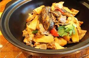 甲魚燜老雞 甲魚燜老雞