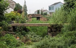 夏家自然村 夏家自然村