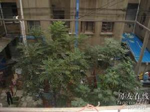 小市街小區 小市街小區