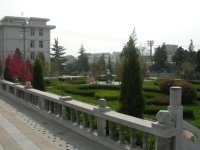 新教學樓前綠草茵茵