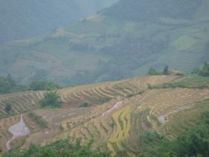 浪湯寨村 浪湯寨村