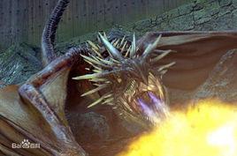 匈牙利樹蜂 匈牙利樹蜂